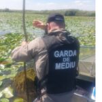 Garda Națională de Mediu: Peste 1,5 kilometri de plasă ilegală distrusă în Delta Dunării 2 garda nationala de mediu peste 15 km de plase ilegale confiscate in delta dunarii 68bd19bf82a5c