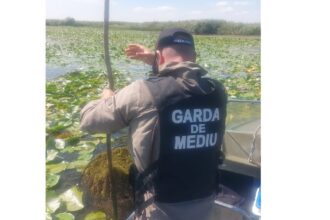 garda nationala de mediu peste 15 km de plase ilegale confiscate in delta dunarii 68bd19bf82a5c