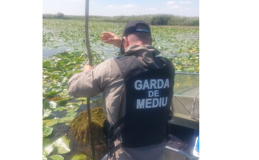 Garda Națională de Mediu: Peste 1,5 kilometri de plasă ilegală distrusă în Delta Dunării 1 garda nationala de mediu peste 15 km de plase ilegale confiscate in delta dunarii 68bd19bf82a5c
