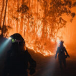 „Căderea în uitare a satelor: Impactul abandonului rural asupra incendiilor devastatoare din Europa” 2 hatisul si padurile invadeaza satele cum contribuie abandonarea zonelor rurale la producerea incendiilor devastatoare din europa 68b6ae68a03e1