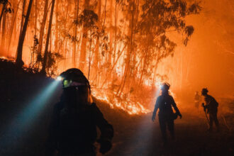 hatisul si padurile invadeaza satele cum contribuie abandonarea zonelor rurale la producerea incendiilor devastatoare din europa 68b6ae68a03e1
