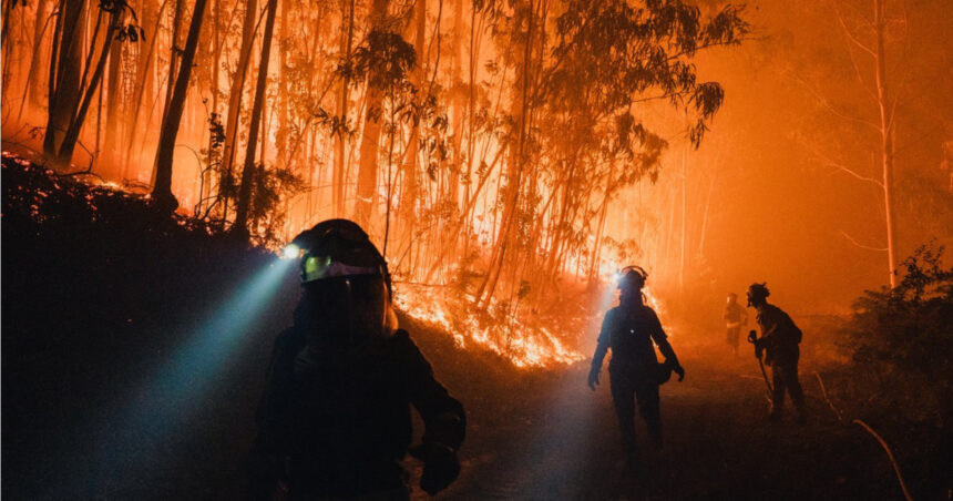 „Căderea în uitare a satelor: Impactul abandonului rural asupra incendiilor devastatoare din Europa” 1 hatisul si padurile invadeaza satele cum contribuie abandonarea zonelor rurale la producerea incendiilor devastatoare din europa 68b6ae68a03e1