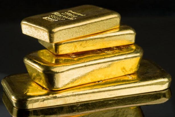 hotii au furat sase kilograme de aur din muzeul national de istorie naturala din paris 68ca893d5fbcd