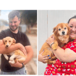 Două suflete canine au găsit căminul ideal cu ajutorul campaniei inițiate de Primăria Constanța 2 inca doi catei si au gasit familii iubitoare in campania derulata de primaria constanta 68c7b3cce0a1a