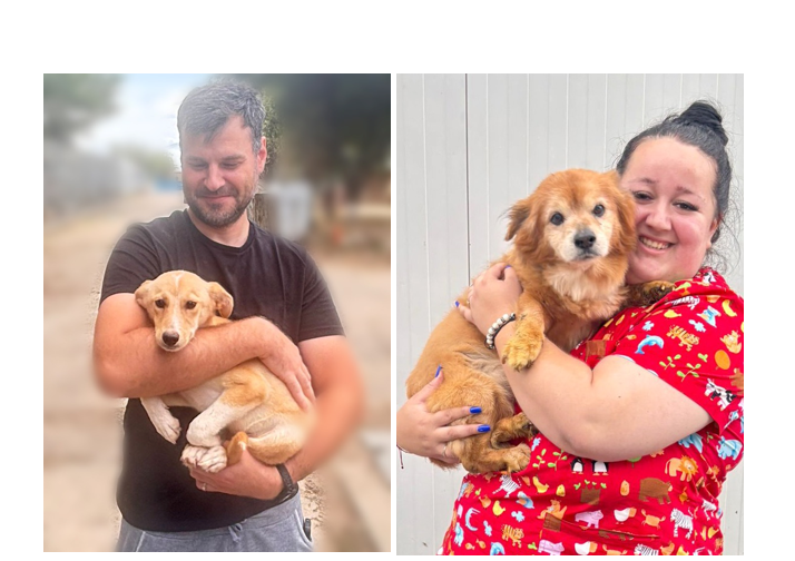 Două suflete canine au găsit căminul ideal cu ajutorul campaniei inițiate de Primăria Constanța 1 inca doi catei si au gasit familii iubitoare in campania derulata de primaria constanta 68c7b3cce0a1a