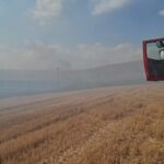 Flăcări devastatoare în pădurile din Agighiol și regiunea Topolca-Sireasa, județul Tulcea 3 incendii de vegetatie uscata in agighiol si zona topolca sireasa din judetul tulcea 68c26df9ec0a8