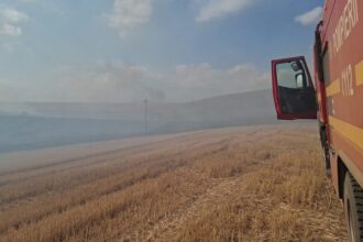 incendii de vegetatie uscata in agighiol si zona topolca sireasa din judetul tulcea 68c26df9ec0a8