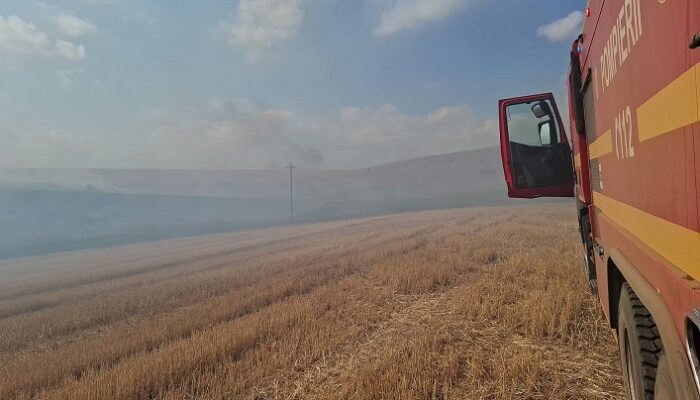 Flăcări devastatoare în pădurile din Agighiol și regiunea Topolca-Sireasa, județul Tulcea 1 incendii de vegetatie uscata in agighiol si zona topolca sireasa din judetul tulcea 68c26df9ec0a8