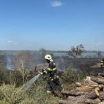 Foc de vegetație în Murighiol: Riscuri pentru locuințele din zonă 2 incendiu de vegetatie uscata cu posibilitate de propagare la mai multe locuinte in murighiol 68b5b68dd31bb