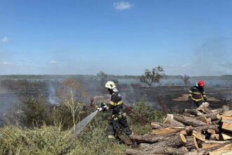 incendiu de vegetatie uscata cu posibilitate de propagare la mai multe locuinte in murighiol 68b5b68dd31bb