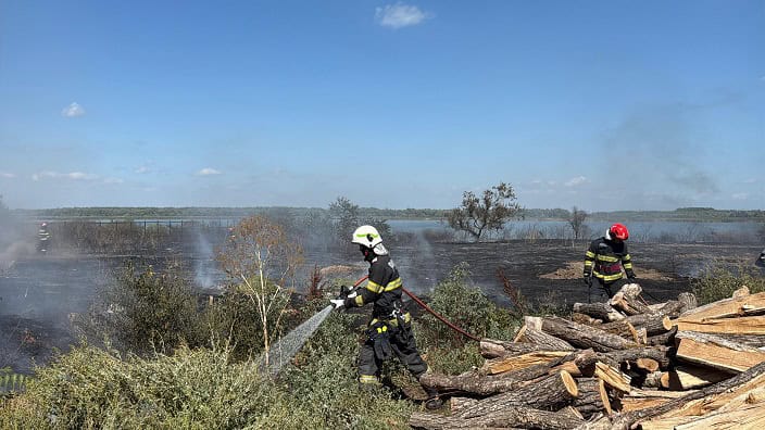 Foc de vegetație în Murighiol: Riscuri pentru locuințele din zonă 1 incendiu de vegetatie uscata cu posibilitate de propagare la mai multe locuinte in murighiol 68b5b68dd31bb