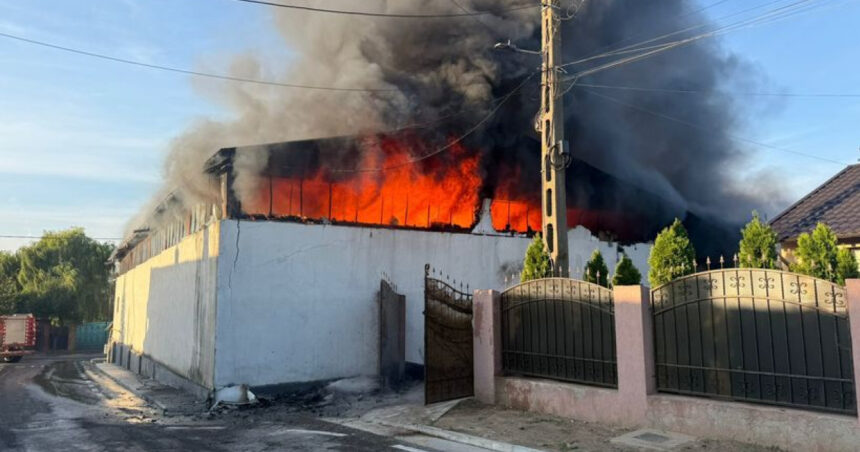 Flăcări devastatoare în Galați: o hală din Șendreni, plină de uleiuri și peleți, este cuprinsă de foc 1 incendiu in judetul galati arde o hala din sendreni unde erau depozitate uleiuri si peleti 68bbec7d03ad7
