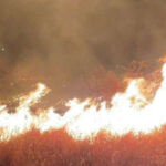 Foc devastator în zona Ploiești: 80 de hectare de vegetație consumate, zeci de pompieri în acțiune! 3 incendiu puternic de vegetatie in apropiere de ploiesti 80 de hectare au fost mistuite zeci de pompieri mobilizati 68bd05fec49be