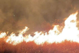 incendiu puternic de vegetatie in apropiere de ploiesti 80 de hectare au fost mistuite zeci de pompieri mobilizati 68bd05fec49be