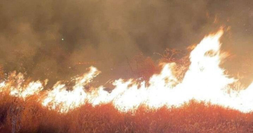 Foc devastator în zona Ploiești: 80 de hectare de vegetație consumate, zeci de pompieri în acțiune! 1 incendiu puternic de vegetatie in apropiere de ploiesti 80 de hectare au fost mistuite zeci de pompieri mobilizati 68bd05fec49be