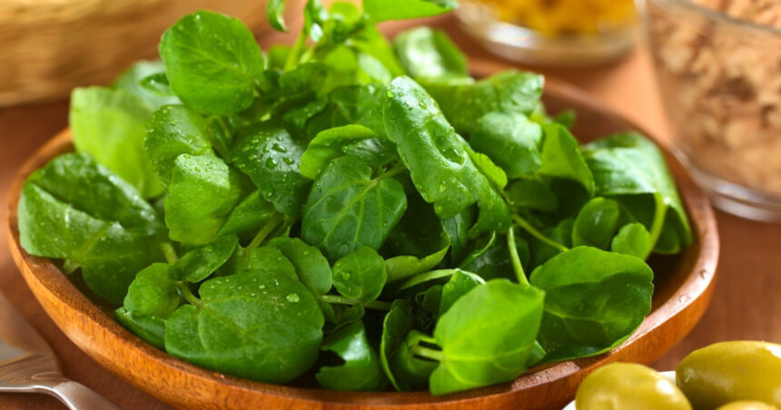 Secretul sănătății în farfurie: Ingredientul bogat în vitamina K care îți apără inima și sprijină silueta! 1 ingredientul minune din salata bogat in vitamina k protejeaza inima si ajuta la slabit 68d762ac80ad5