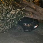 Mașina unchiului Simonei Halep, avariată de căderea unui copac masiv 3 masina unchiului simonei halep distrusa dupa ce un copac s a prabusit peste ea 68c7c84cb303b
