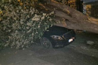 masina unchiului simonei halep distrusa dupa ce un copac s a prabusit peste ea 68c7c84cb303b