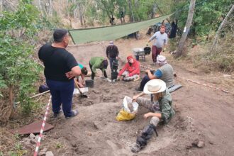 muzeul de istorie constanta continua sapaturile la cetatea romano bizantina sucidava moesica ziduri antice si artefacte descoperite de cercetatori 68cfeda9ab02f