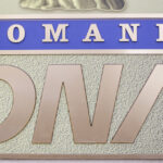 Știri de Ultimă Oră: Un Secretar de Stat de la Ministerul Economiei a fost Preluat de Procurorii DNA 3 news alert un secretar de stat din ministerul economiei a fost retinut de procurorii dna 68cd3d99453d1