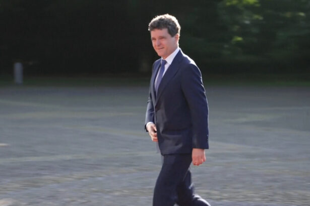 nicusor dan nu se pune problema de anticipate ar fi o instabilitate pe care romania nu si o permite 68c2e9d839cbc