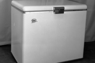 o femeie de 75 de ani a fost arestata dupa ce a tinut cadavrul fiicei sale intr un congelator timp de 20 de ani 68d52d90469ca