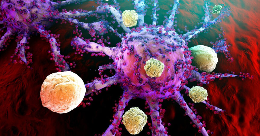 O nouă descoperire științifică promite să revoluționeze prevenția cancerului. Ce schimbări ne așteaptă în terapiile viitoare? 1 oamenii de stiinta au descoperit o noua metoda eficienta de a preveni cancerul cum s ar putea schimba tratamentele in viitor 68bdf1208d56e