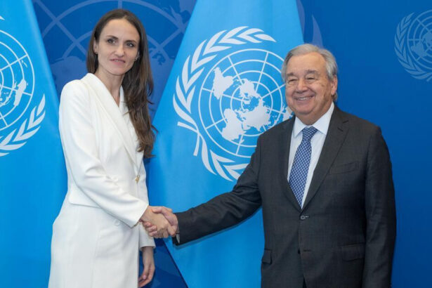 oana toiu s a intalnit cu secretarul general onu antonio guterres am avut o discutie consistenta 68d91ef9964a0