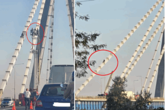 oficial de la ijp constanta despre incidentul de pe podul de la agigea barbatul cu antecedente similare a coborat in siguranta 68bea38699b21