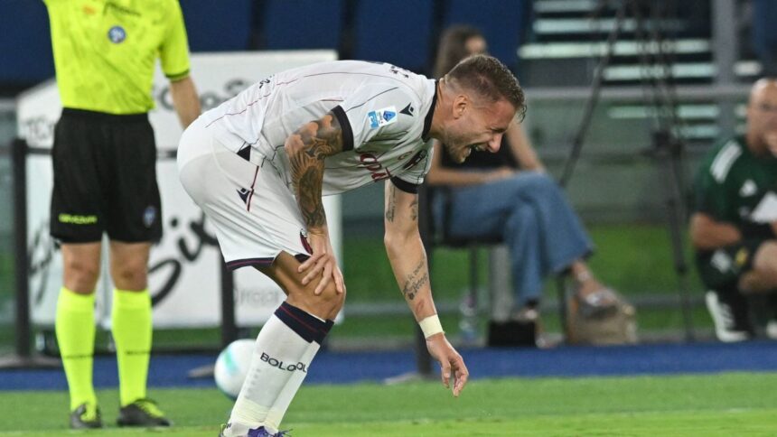 OFICIAL O știre surprinzătoare pentru FCSB: noul star adus în vară nu se regăsește pe lista UEFA! 1 oficial veste excelenta pentru fcsb starul transferat in aceasta vara nu a prins lista uefa 68b7354d2d2d9