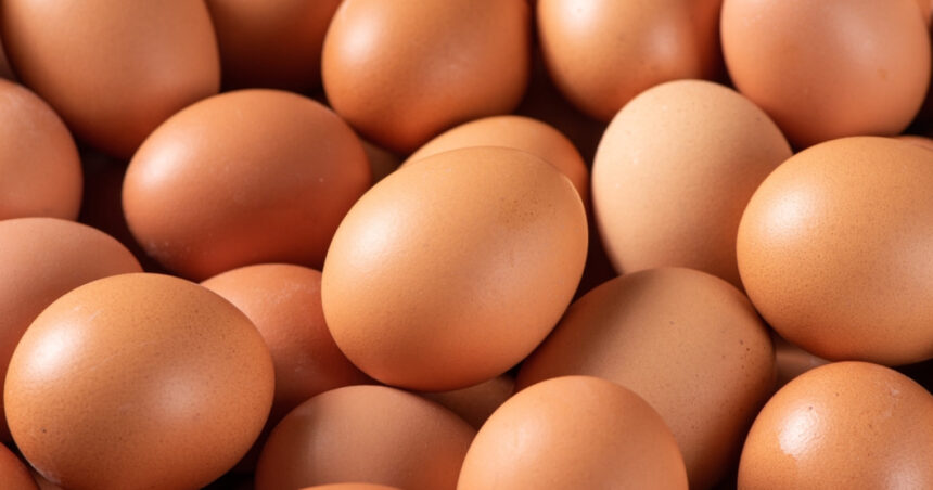 Ouă organice retrase de la vânzare din două mari supermarketuri din cauza riscului de Salmonella 1 oua bio vandute in doua mari retele comerciale retrase de la raft din cauza riscului de contaminare cu salmonella 68cd60efbcddd