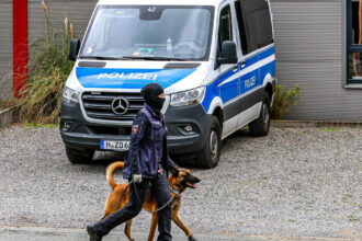 perchezitii in germania la o grupare de extrema dreapta s au gasit arme munitie bani lichizi si materiale cu potential exploziv 68c99a5aaafd6