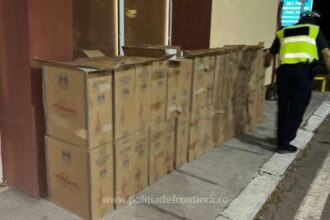 peste 700 000 de tigari ascunse in doua camioane descoperite de politistii de frontiera constanteni 68bb17bb261ed