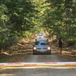 Controverse în jurul drumului ce traversează Pădurea Băneasa: „Accesul este esențial” / „Alte cartiere sunt afectate, nu dorim o arteră prin Herăstrău” 2 polemica privind soseaua care taie padurea baneasa avem nevoie de acces sunt si alte cartiere si nu vor drum prin herastrau 68baf9d40da48