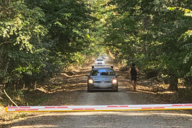 polemica privind soseaua care taie padurea baneasa avem nevoie de acces sunt si alte cartiere si nu vor drum prin herastrau 68baf9d40da48