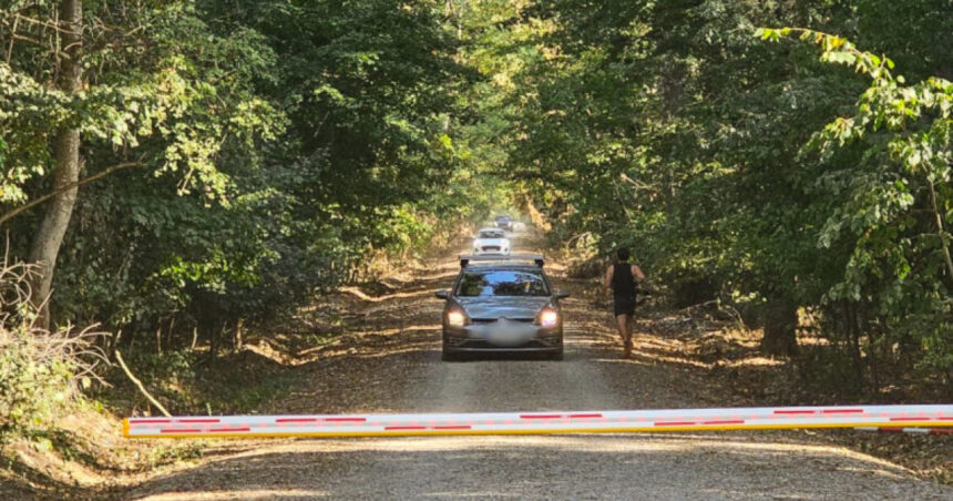 Controverse în jurul drumului ce traversează Pădurea Băneasa: „Accesul este esențial” / „Alte cartiere sunt afectate, nu dorim o arteră prin Herăstrău” 1 polemica privind soseaua care taie padurea baneasa avem nevoie de acces sunt si alte cartiere si nu vor drum prin herastrau 68baf9d40da48
