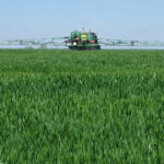 Alerte roșii: Europa a dublat vânzările de pesticide interzise în cadrul UE în ultimele șase ani! 2 raport ingrijorator europa si a dublat exporturile de pesticide interzise in ue in ultimii sase ani 68d2e430ad6d2