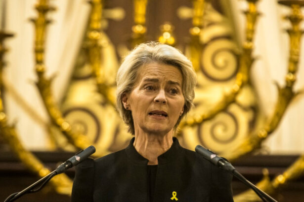 razboiul din gaza expune sufletul chinuit al europei care este principalul obstacol ce blocheaza planul ue de a pedepsi israelul 68cb86568410d