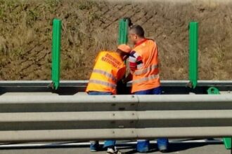 restrictii de trafic pe autostrada a2 bucuresti constanta 68c939faa3517