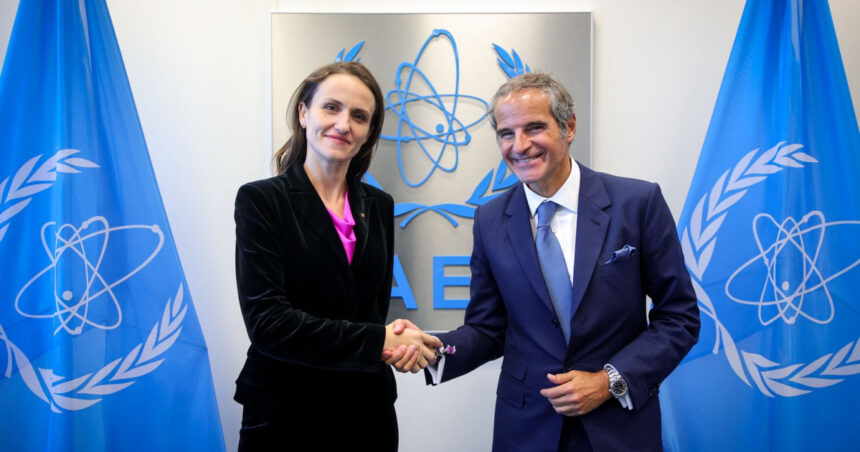 romania lobby pentru dezvoltarea energiei nucleare la conferinta aiea oana toiu si bogdan ivan parte a delegatiei de la viena 68caeb599efa0