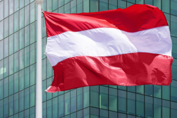 sindicatele din austria renunta la cresteri salariale mai mari motivul pentru care au luat aceasta decizie 68d2cd9fa6973