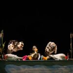 Teatrul Căluțul de Mare invită micuții să descopere o poveste emoționantă: Rățușca cea Urâtă! Află când poți savura această minunată reprezentație! 2 teatrul calutul de mare ii asteapta pe copii cu una dintre cele mai frumoase si sensibile povesti ratusca cea urata vezi aici cand poate fi vizionata piesa 68d6a4d169bab