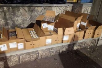 tigari in valoare de 100 000 de lei descoperite de politistii de frontiera constanteni ascunse intr un camion 68d3d87421914