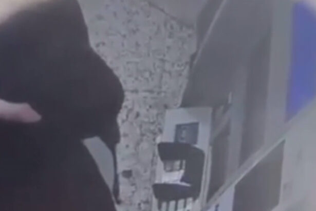 trei barbati si o femeie trimisi in judecata dupa ce au torturat un barbat pentru a i afla pin ul cardului victima a murit la spital 68c4856913f55