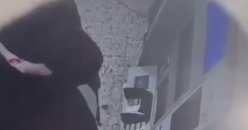 trei barbati si o femeie trimisi in judecata dupa ce au torturat un barbat pentru a i afla pin ul cardului victima a murit la spital 68c4856913f55