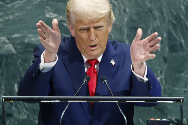 trump la onu schimbarile climatice sunt cea mai mare inselatorie din lume avertisment pentru investitorii in energie verde 68d2d160527e1