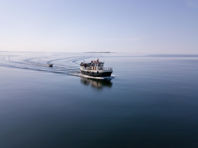 Turiștii Cocktail Holidays își reiau călătoriile în țară. Verificări la agenție 1 turistii cocktail holidays incep sa revina in tara control la firma 68b5b555a6e2a