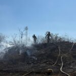 Incendiu devastator în Murighiol, Tulcea: Vegetația uscată ia foc, iar locuințele sunt amenințate! 2 update foto arde vegetatia uscata in murighiol judetul tulcea mai multe locuinte sunt in pericol 68b59a45e0ffc