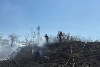 update foto arde vegetatia uscata in murighiol judetul tulcea mai multe locuinte sunt in pericol 68b59a45e0ffc