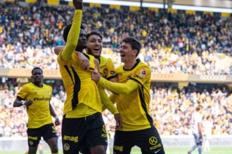 vesti proaste pentru fcsb elvetienii anunta ca young boys are un nou cuplu de atacanti 68da801e34185